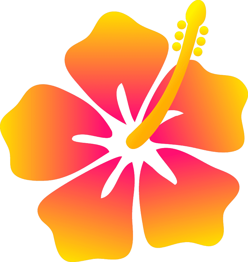 ハイビスカスの花のイラスト PNG 無料 イラスト