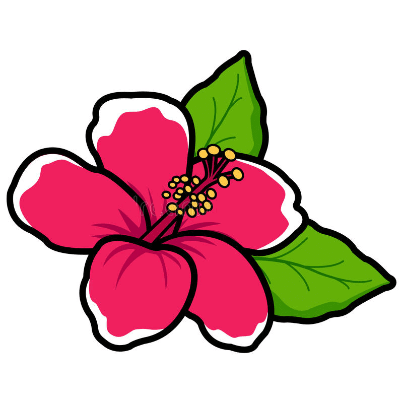 ハイビスカスの花のイラスト PNG