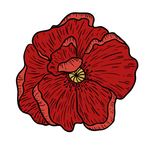 ポピーの花のイラスト PNG イラスト