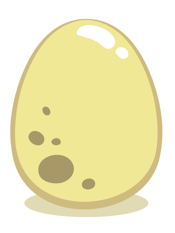 卵のイラスト写真 2