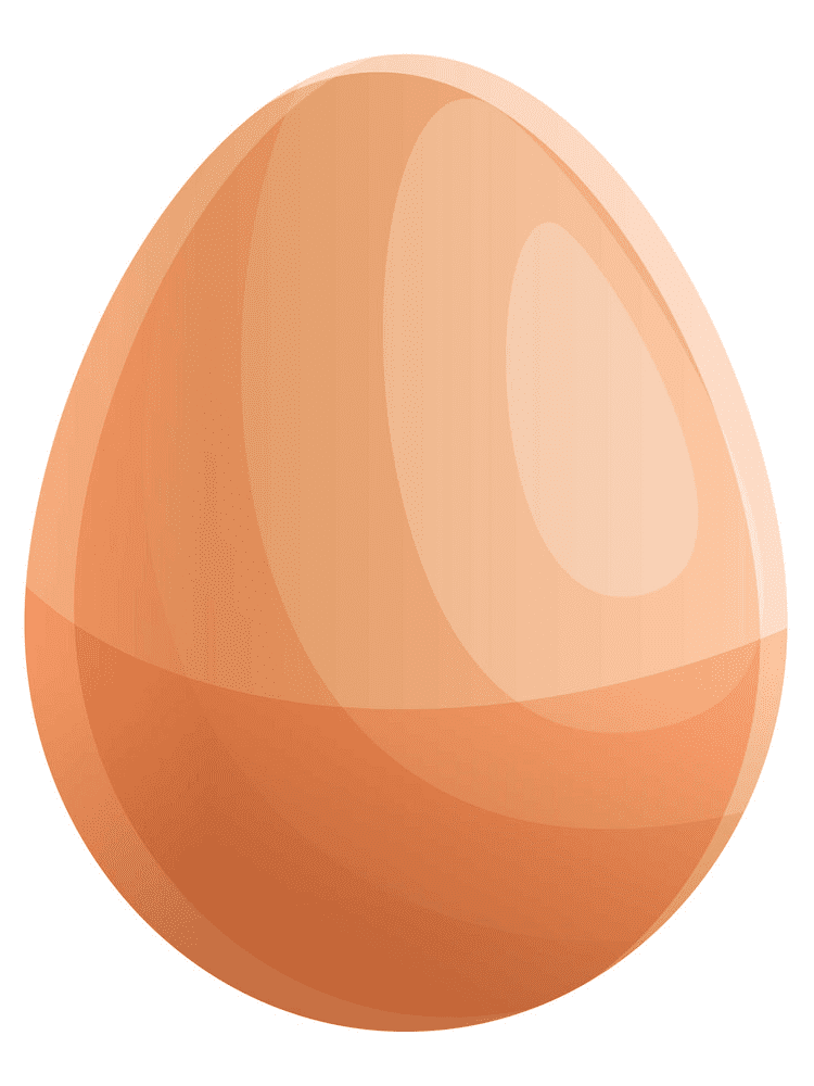卵のイラスト写真