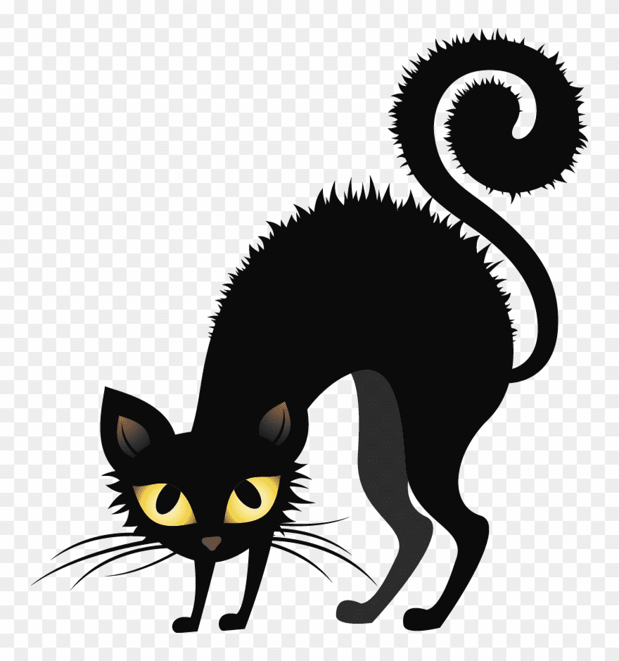 黒猫のPNGイラスト イラスト