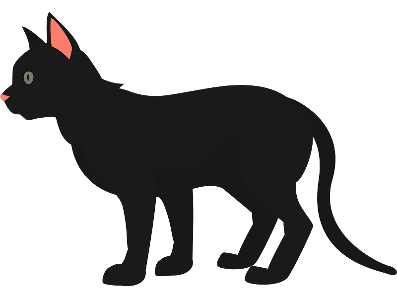 黒猫のイラスト 透明写真 イラスト