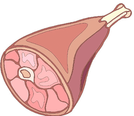 肉のイラスト画像 2 イラスト