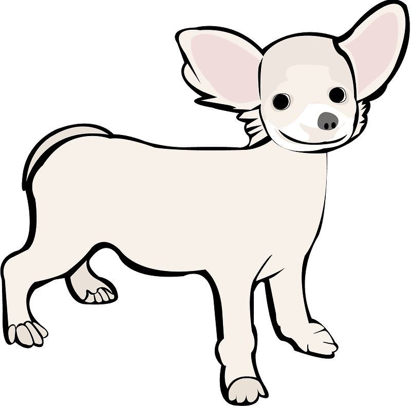 Chihuahua Illustration Transparent Pictures