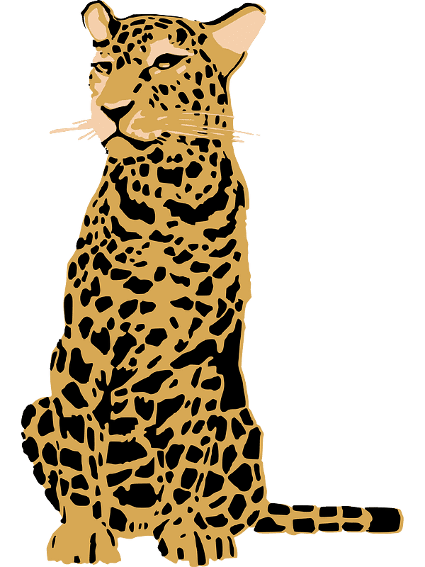 Leopard Illustration Transparent Free