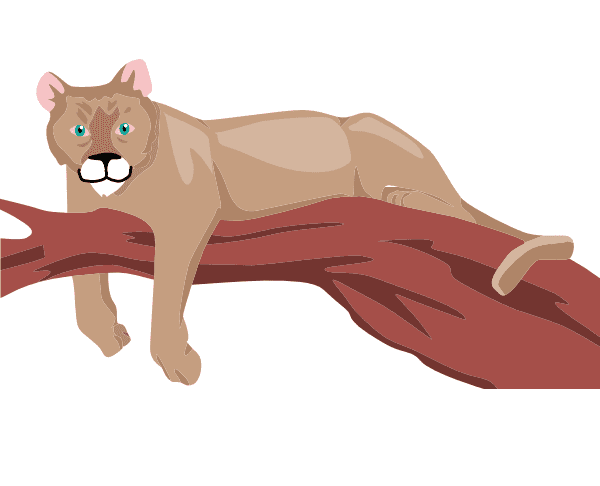 クーガーのイラスト画像 2 イラスト