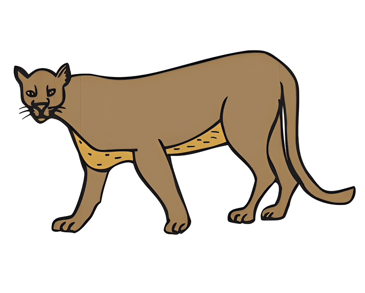 クーガーのイラスト画像 4 イラスト