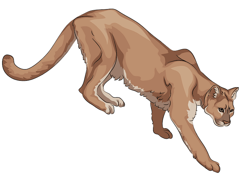 クーガーのイラスト無料素材 イラスト