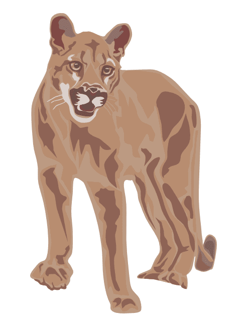 クーガーのイラストダウンロード イラスト
