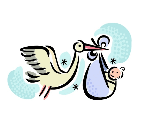Baby Stork Illustration Images
