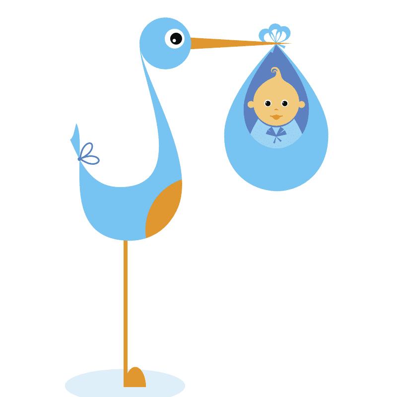 Baby Stork Illustration Picture