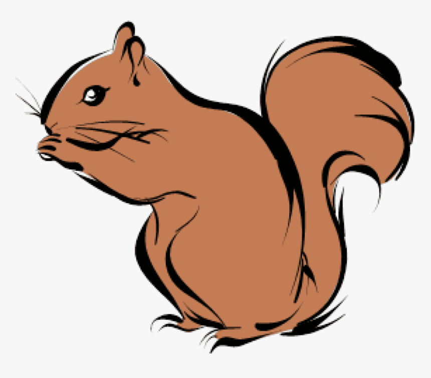 Chipmunk Illustration Free Picture