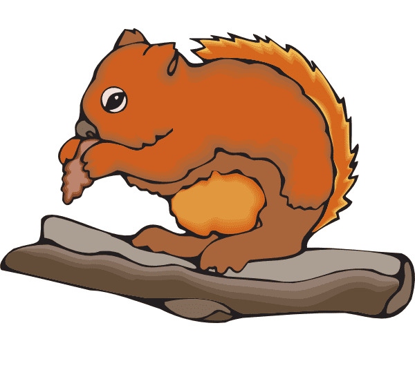 Chipmunk Illustration Png Image