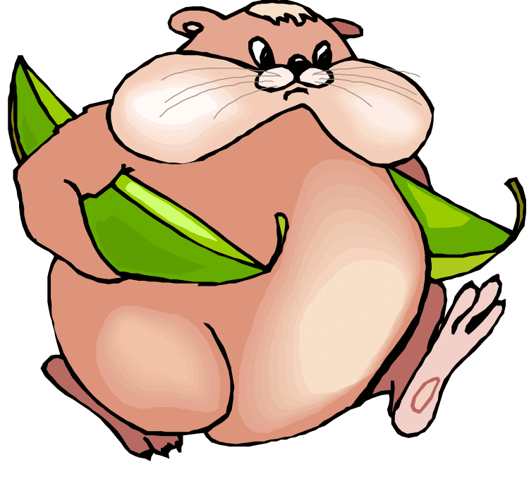 Fat Chipmunk Illustration