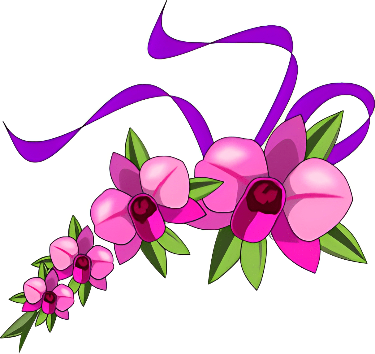 Orchid Illustration Pictures