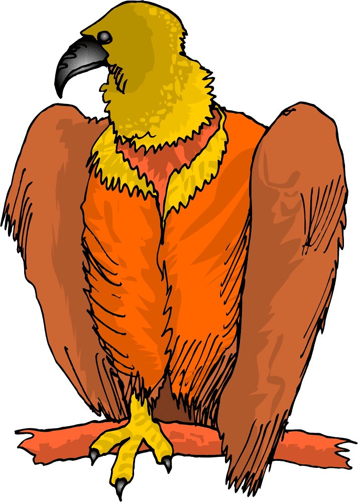 Vulture Illustration Download