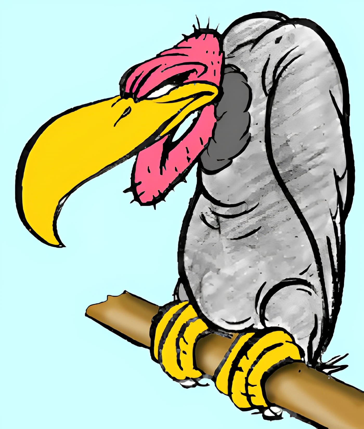 Vulture Illustration Png Pictures