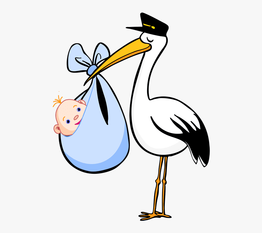 赤ちゃんを連れたコウノトリのイラスト イラスト