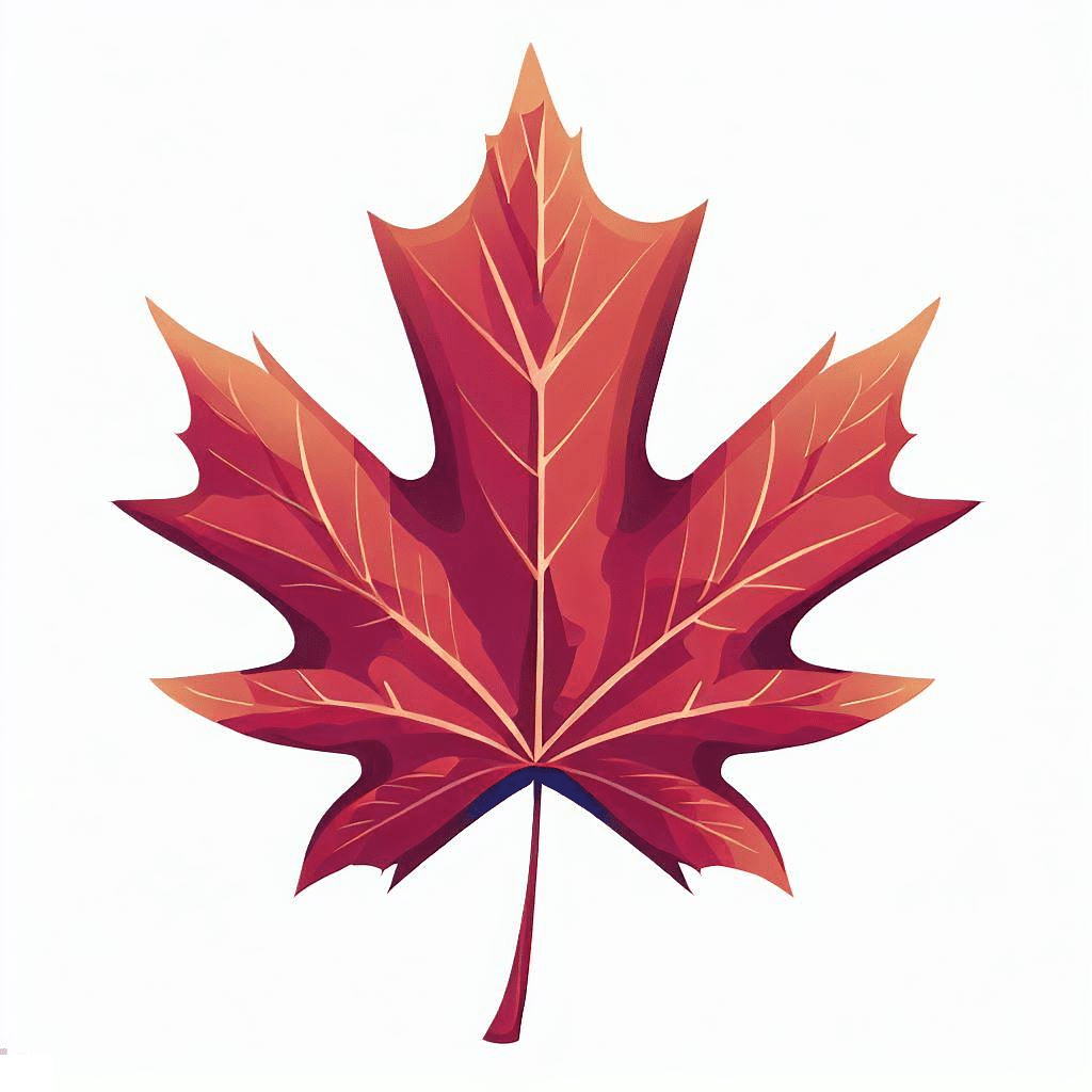 カエデの葉のイラストの写真