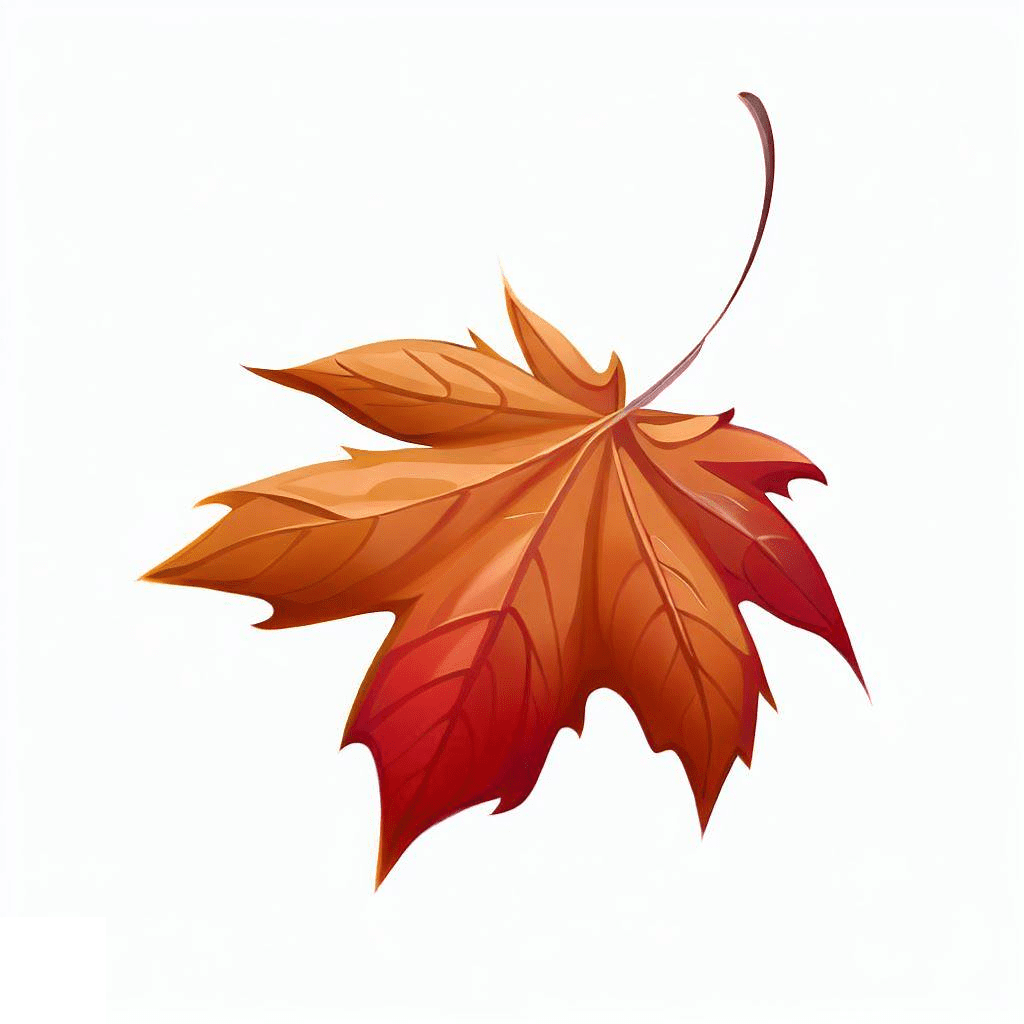 カエデの葉のイラスト PNG 画像 イラスト