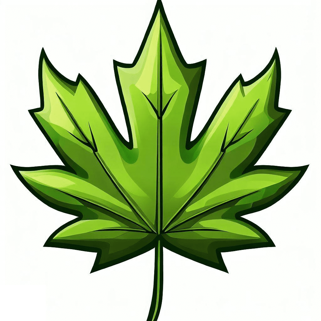 カエデの葉のイラスト PNG イメージ