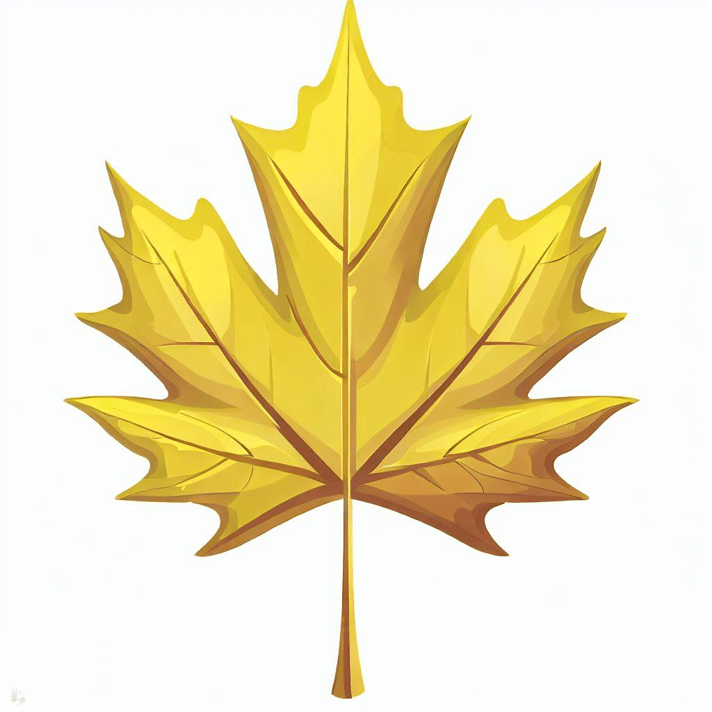 黄色のカエデの葉のイラスト画像 イラスト