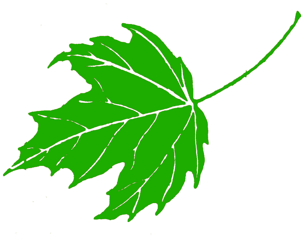 緑のカエデの葉 Png イラスト イラスト
