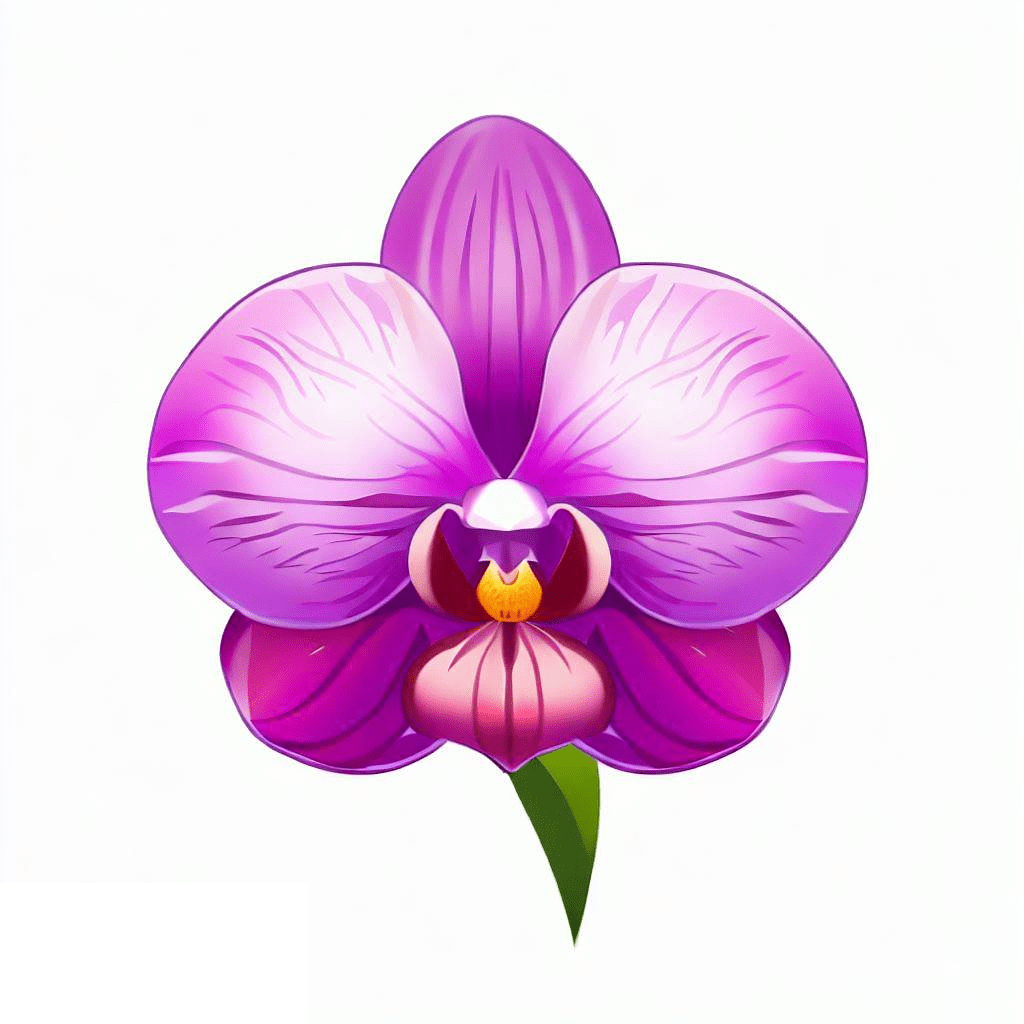 蘭の花のイラストイメージ 2 イラスト