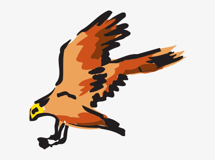 Hawk Bird Illustration