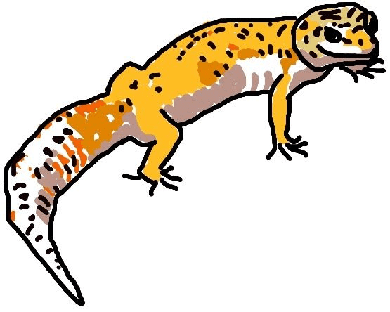 Leopard Gecko Illustration Image