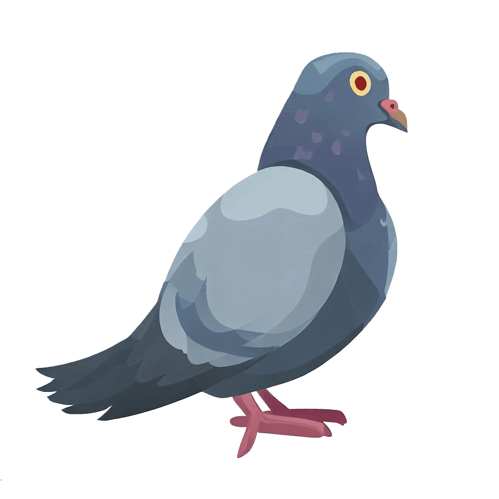 鳩のイラストを透明にダウンロード イラスト