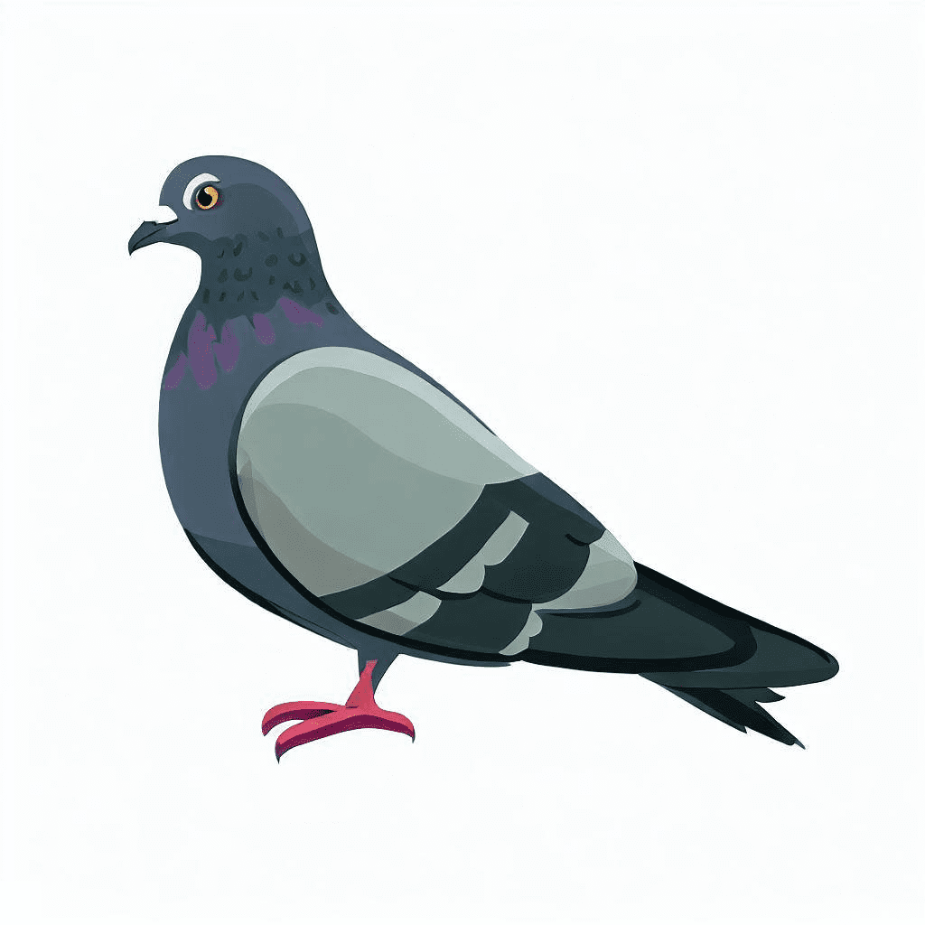 鳩のイラスト PNG 画像 2 イラスト