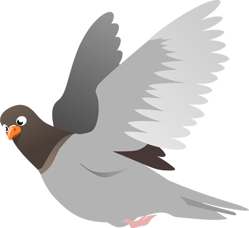 鳩のイラスト 透明 PNG