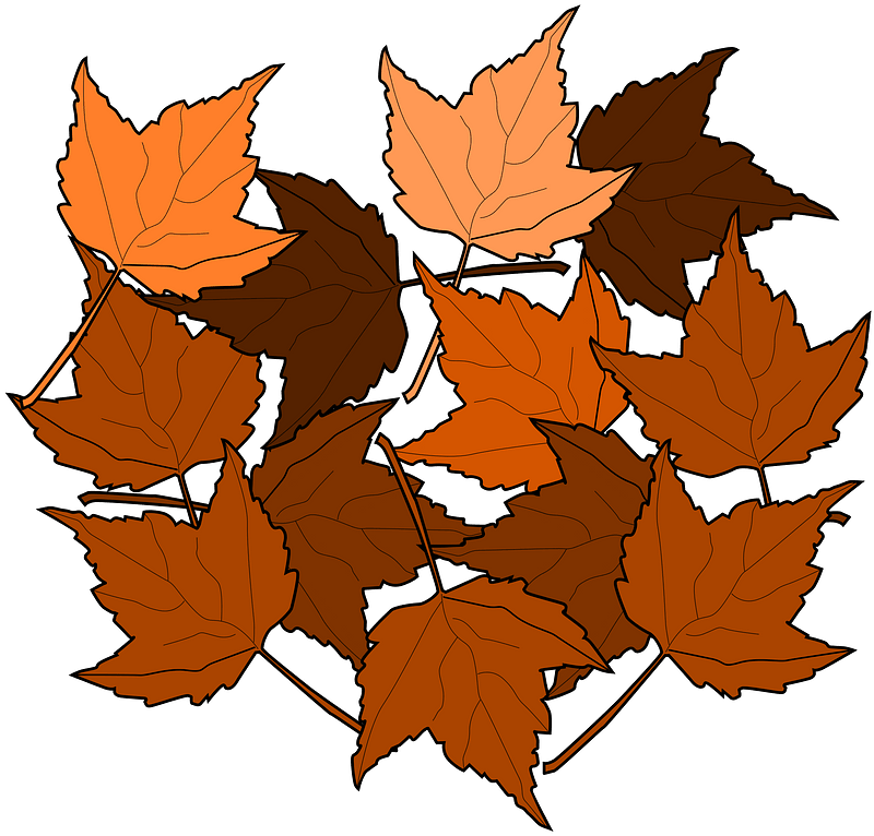 秋の紅葉 イラスト 無料 イラスト