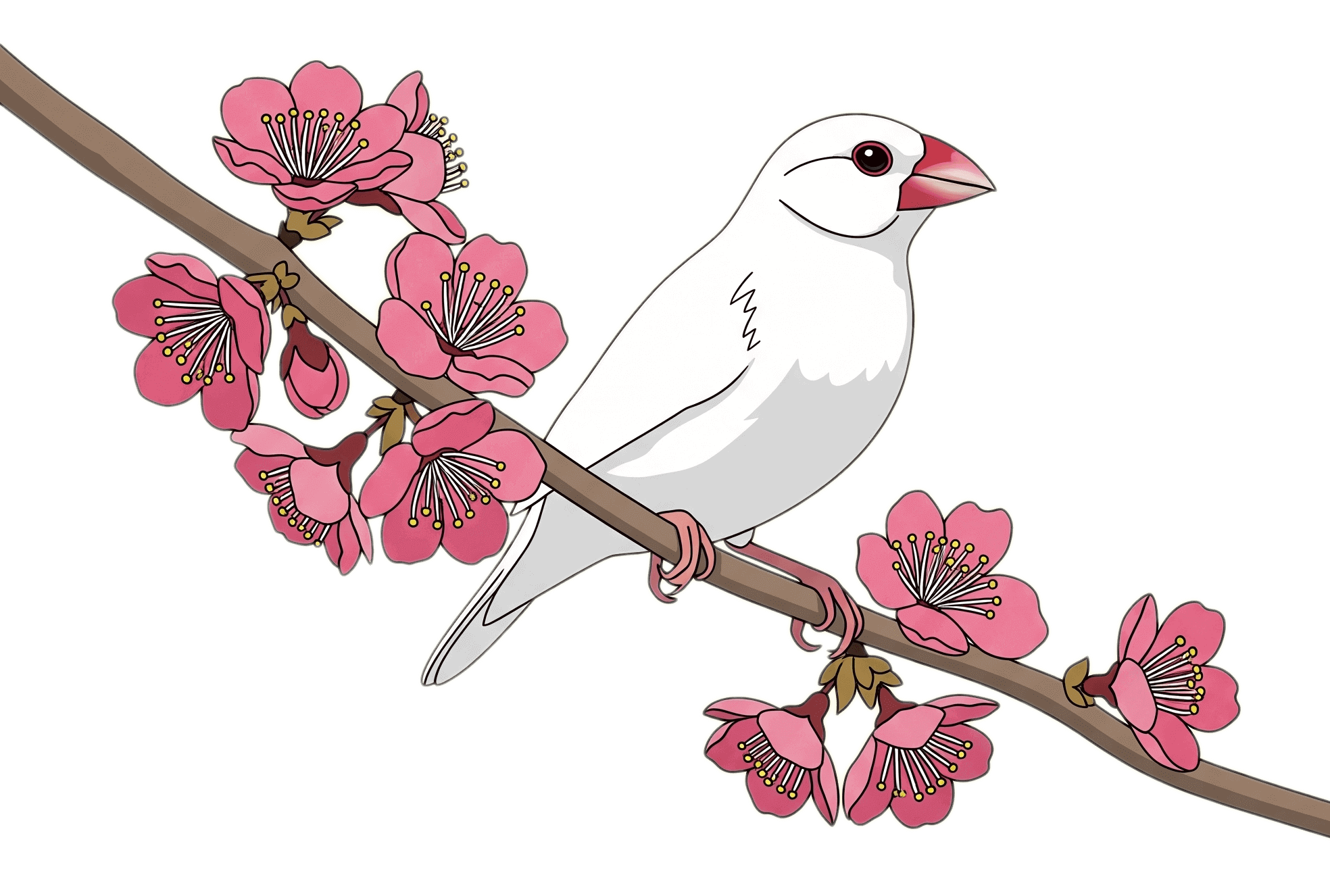 枝の花に止まる白い文鳥 – 鳥のイラスト