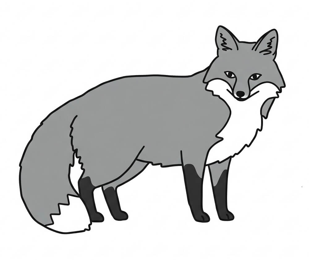 灰色のキツネのイラストシンプル