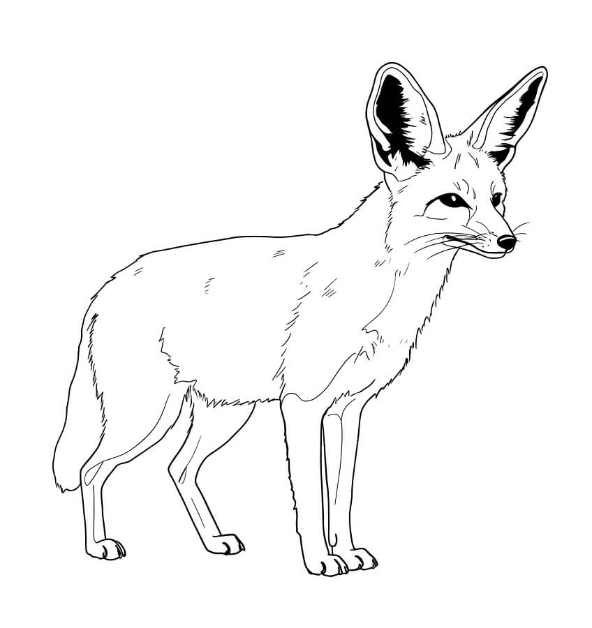 キツネのイラスト 白黒 イラスト