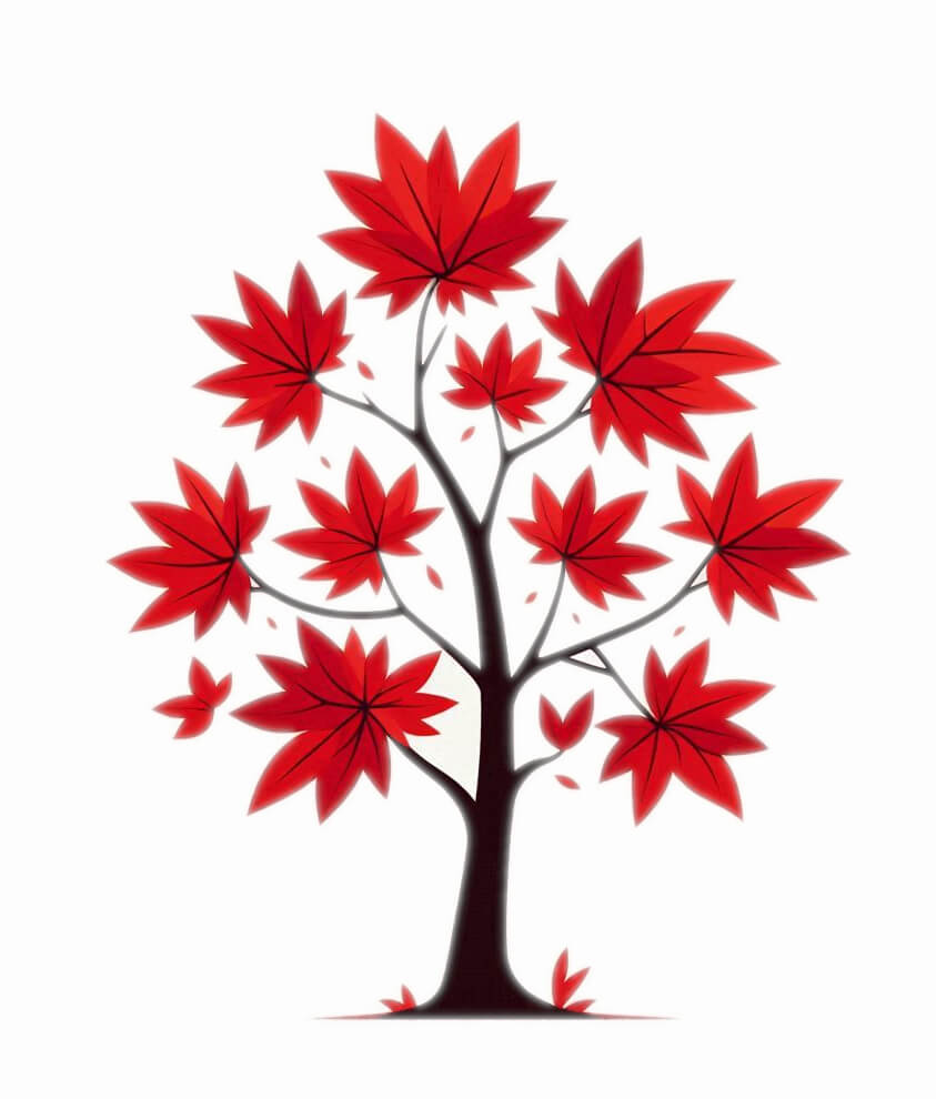 赤いカエデの木のイラストのダウンロード