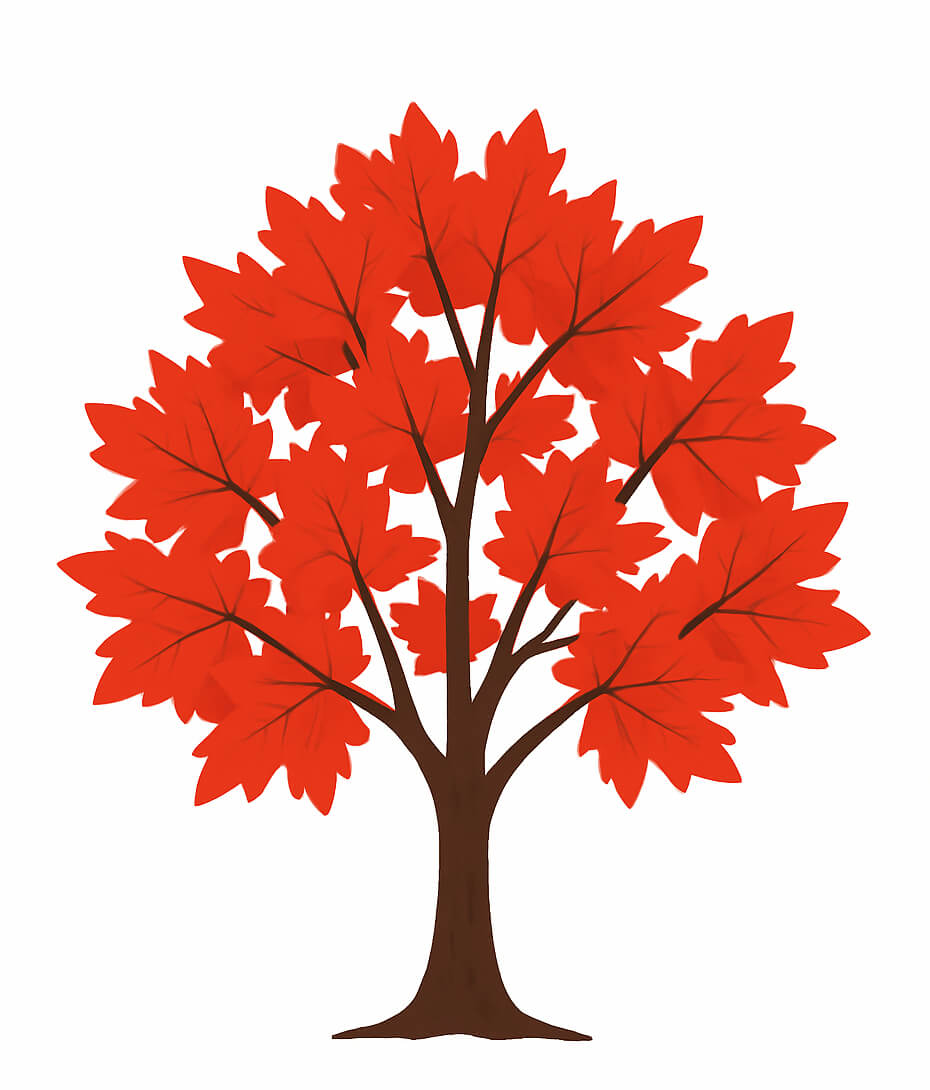 シンプルな赤いカエデの木のイラスト