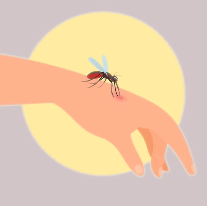 人間を刺す蚊のイラスト無料 イラスト