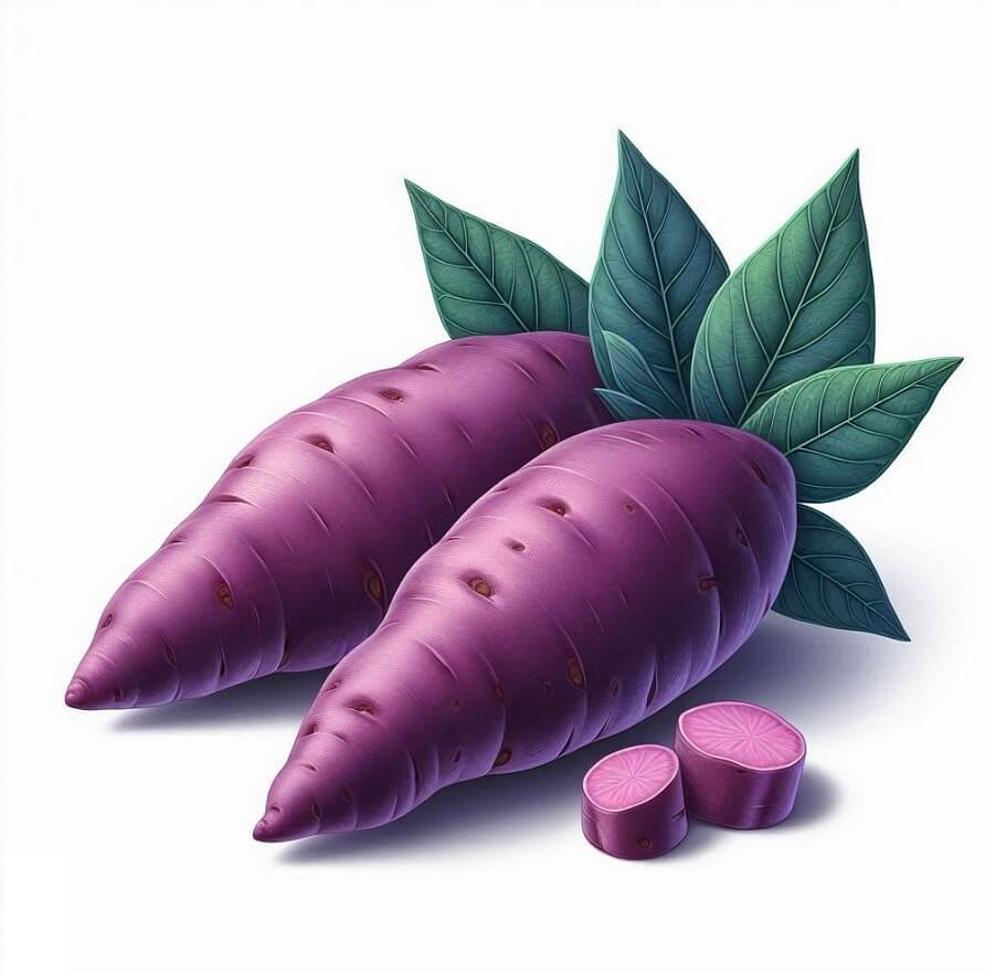 紫芋のイラスト 2 イラスト