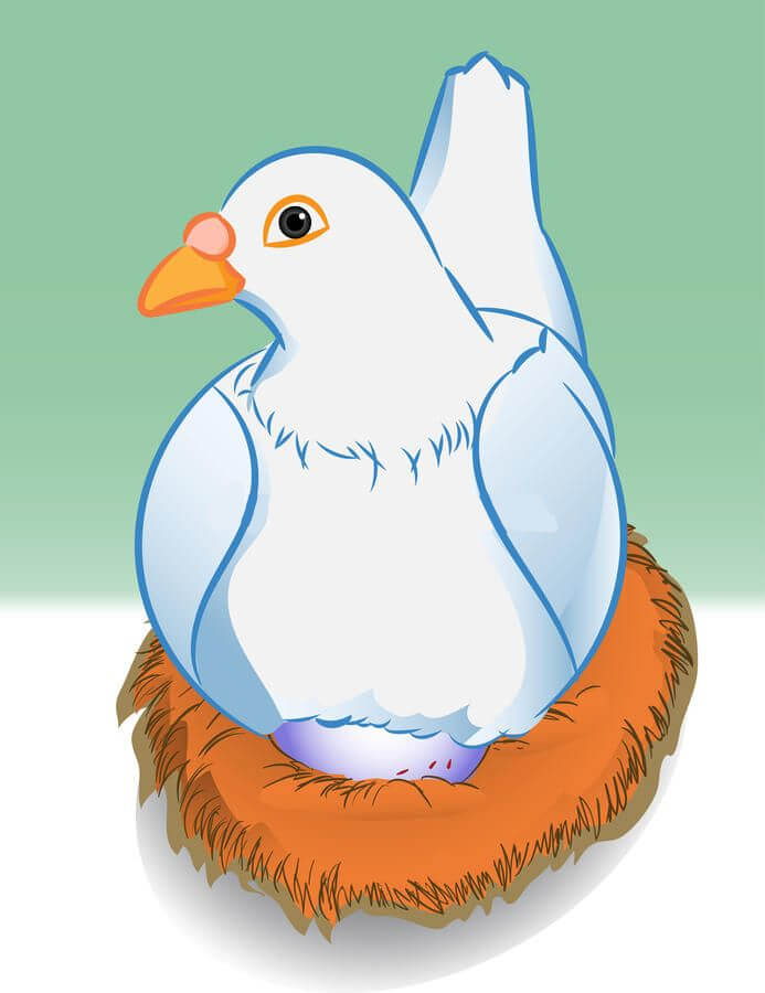 巣の上の鳩のイラスト無料